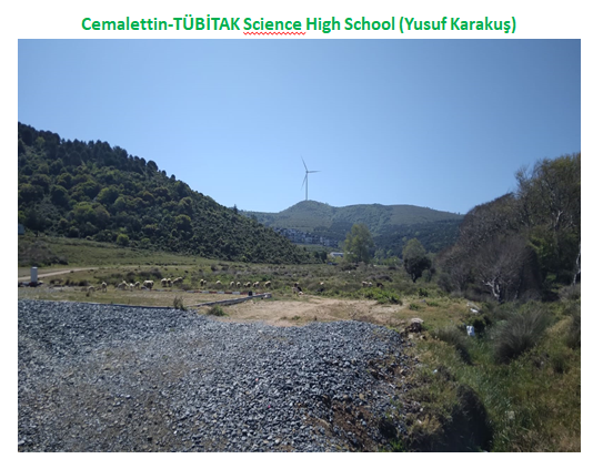 Nature’s Nurture by Oya Arslan - Ourboox.com