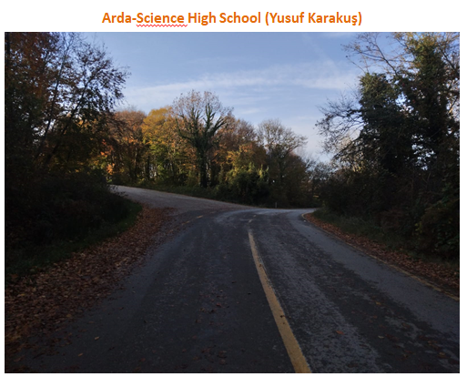 Nature’s Nurture by Oya Arslan - Ourboox.com