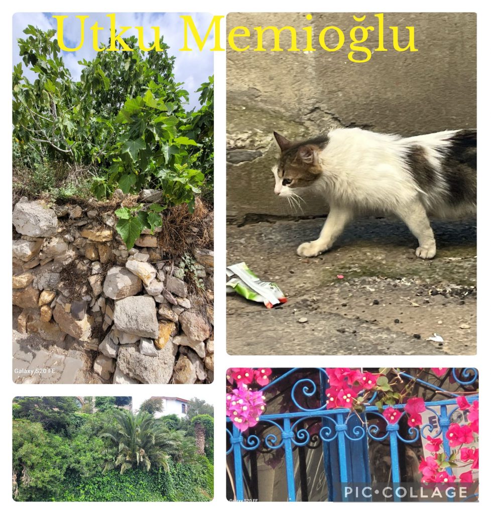 DAVUTKADI EŞREF EVCİL PRIMARY SCHOOL I CAN DO NATUREGRAPHY CATALOGUE by hanım aslan keleş - Ourboox.com