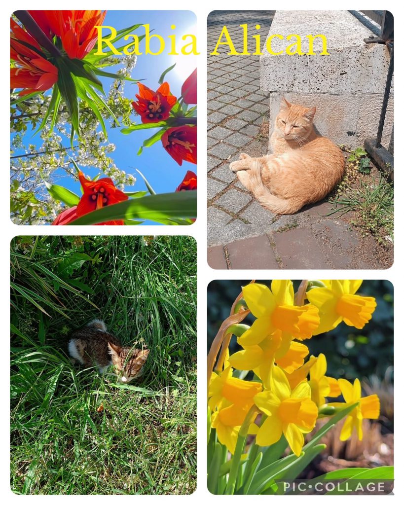 DAVUTKADI EŞREF EVCİL PRIMARY SCHOOL I CAN DO NATUREGRAPHY CATALOGUE by hanım aslan keleş - Ourboox.com