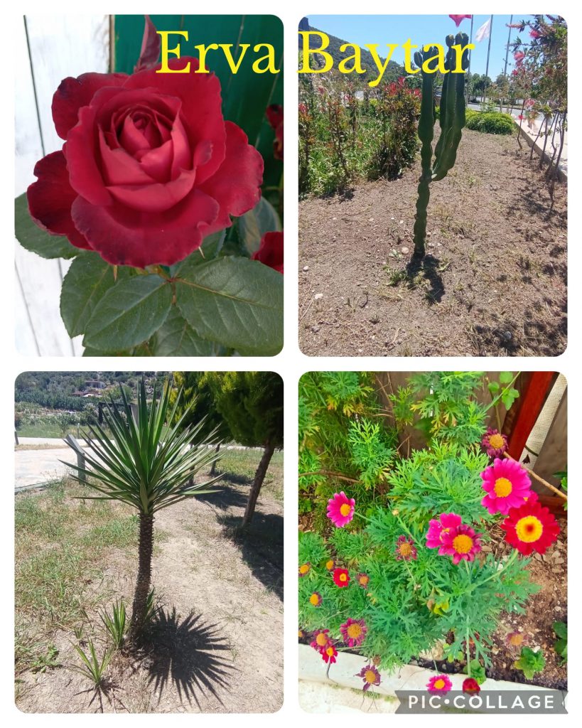 DAVUTKADI EŞREF EVCİL PRIMARY SCHOOL I CAN DO NATUREGRAPHY CATALOGUE by hanım aslan keleş - Ourboox.com