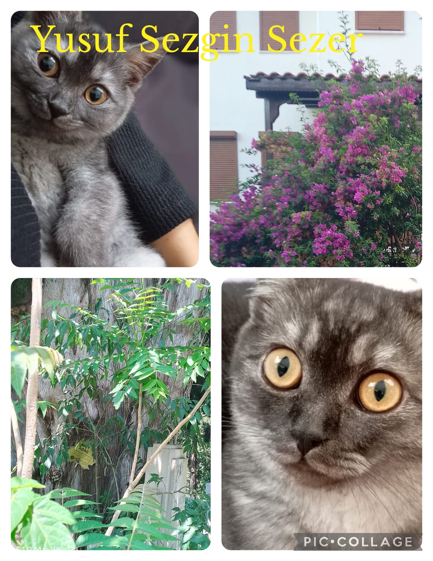 DAVUTKADI EŞREF EVCİL PRIMARY SCHOOL I CAN DO NATUREGRAPHY CATALOGUE by hanım aslan keleş - Ourboox.com