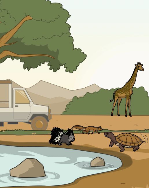 Küçük Kaplumbağa Tostos İle Suyun Gücü by sedef peçen - Illustrated by Irmak Akın, Sedef Peçen, Ebrar Küçükbeyazit ve Meleknur Kılınçaslan - Ourboox.com