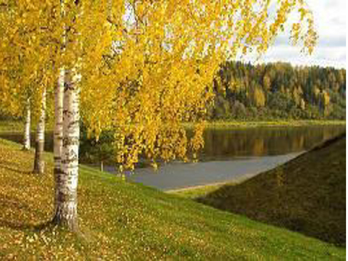 Осінній калейдоскоп by Людмила Корнюшенко - Ourboox.com