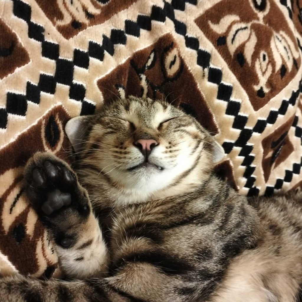 Резюме by YoursDj - Illustrated by Вельможко Святослав - Ourboox.com