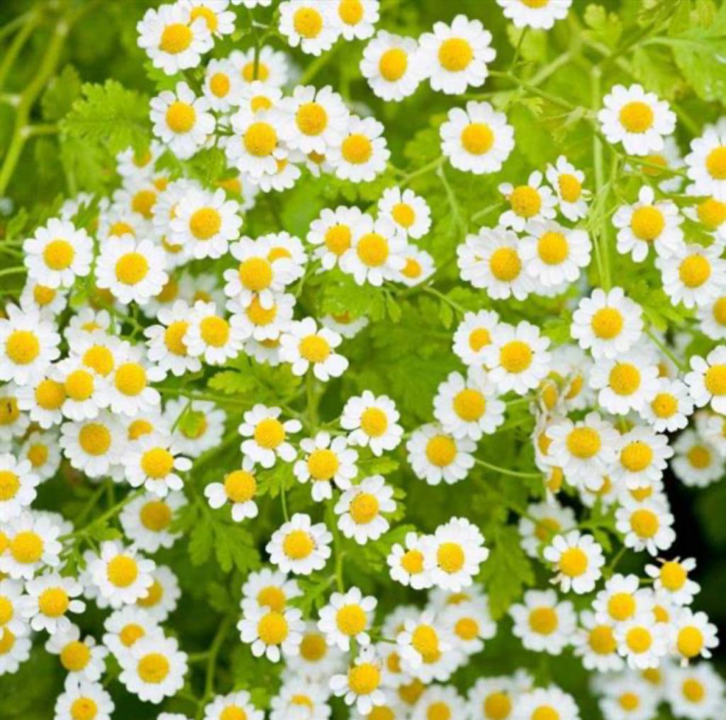 العلوم by rama shalabi - Illustrated by راما  شلبي - Ourboox.com