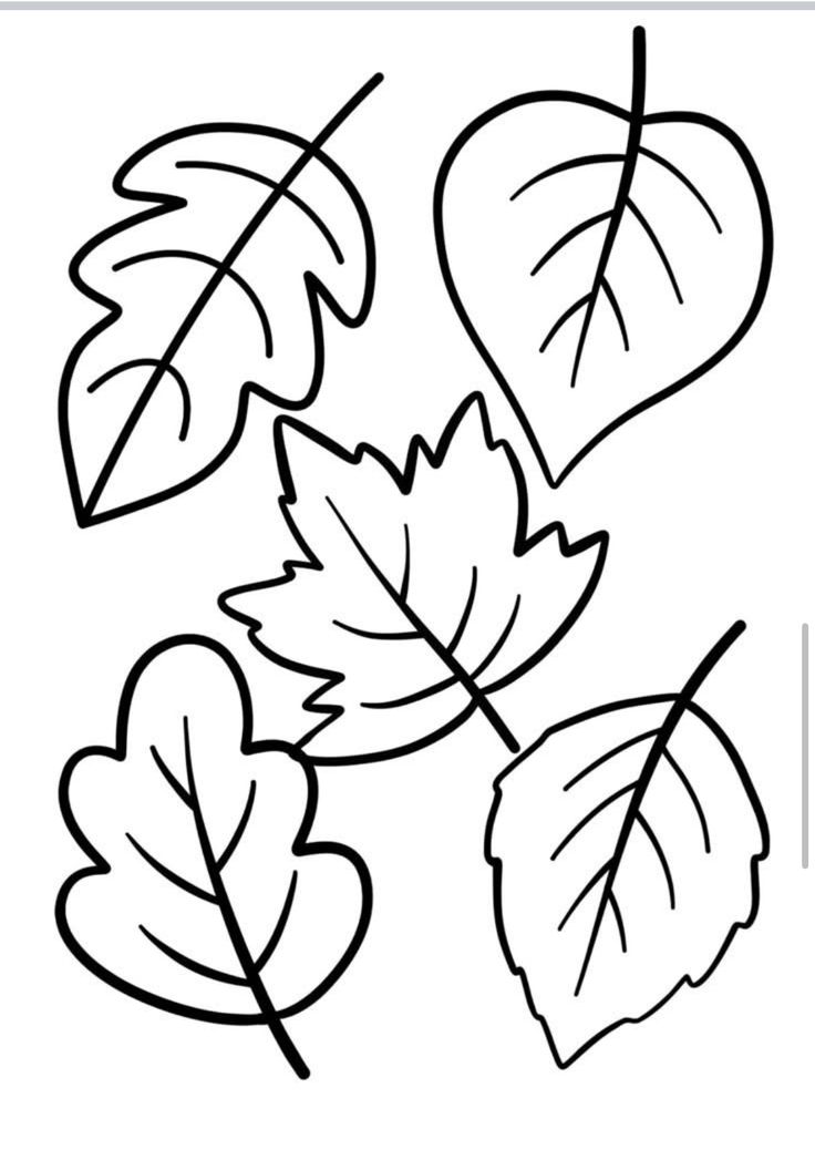 أجزاء النبات by eatf - Ourboox.com