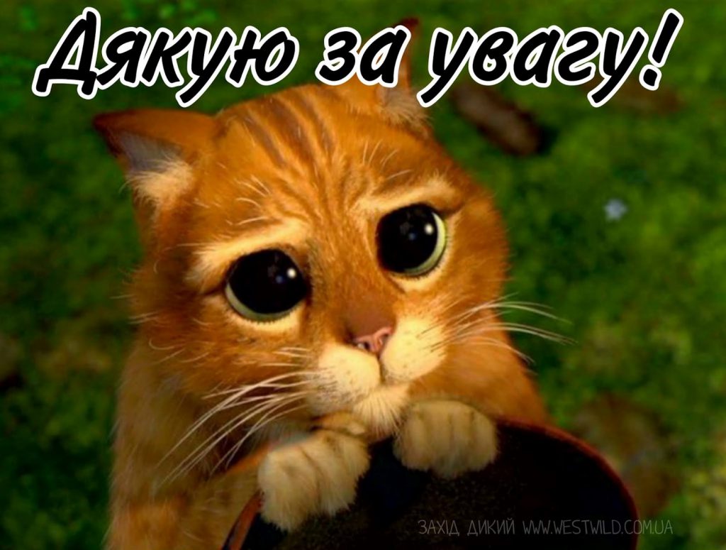 Мої ТАК-правила by Moldovan Olena - Ourboox.com