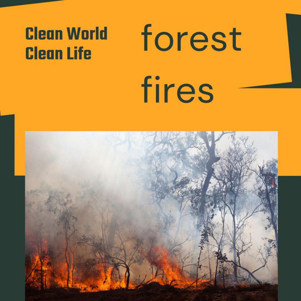 forest fires by canan külcü - Illustrated by Canan KÜLCÜ, Nilüfer AKDOĞAN, Oana-Olivia NEICU  - Ourboox.com