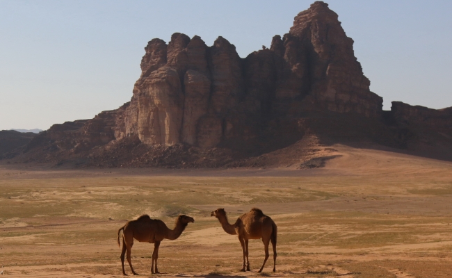 הטיול שלי במדבר by Ayla Musayeva - Ourboox.com