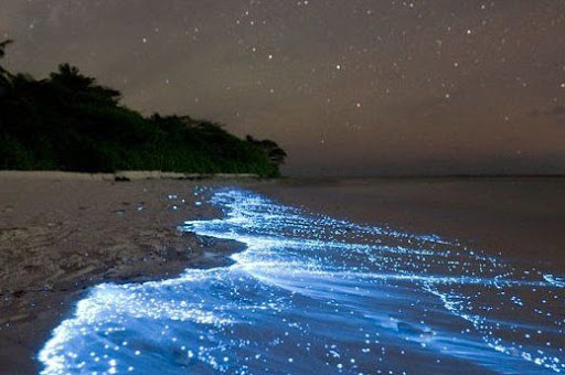 Trip To Thailand by Naz Akgüçlü - Illustrated by Naz Akgüçlü  Naz Gündüz Arif Denizkıran - Ourboox.com