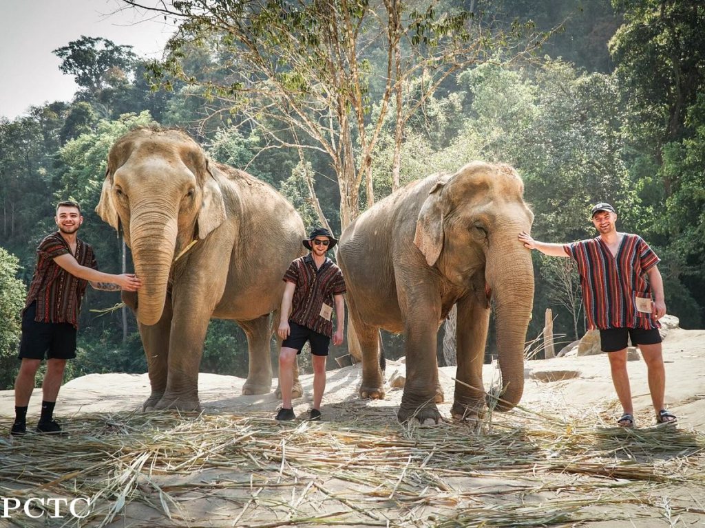 Trip To Thailand by Naz Akgüçlü - Illustrated by Naz Akgüçlü  Naz Gündüz Arif Denizkıran - Ourboox.com