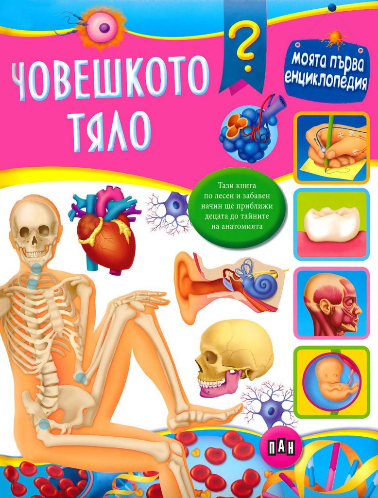 Тъкани в човешкото тяло by Grozdenka Stankova- Vlahova - Ourboox.com