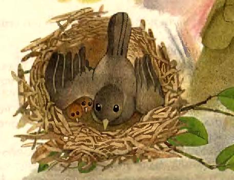 Кращі казки та оповідання Василя Сухомлинського by Ludmila - Illustrated by Людмила Ковальова - Ourboox.com