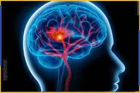 رحلة داخل الجهاز العصبي by omar alayan - Ourboox.com