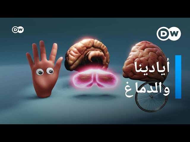 رحلة داخل الجهاز العصبي by omar alayan - Ourboox.com