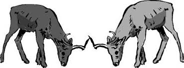 الاتصال والجهاز العصبي by Noor Alyan - Illustrated by موسى عليان - Ourboox.com