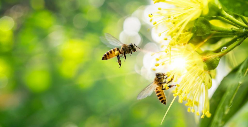 الاتصال والجهاز العصبي by salma jaber - Ourboox.com