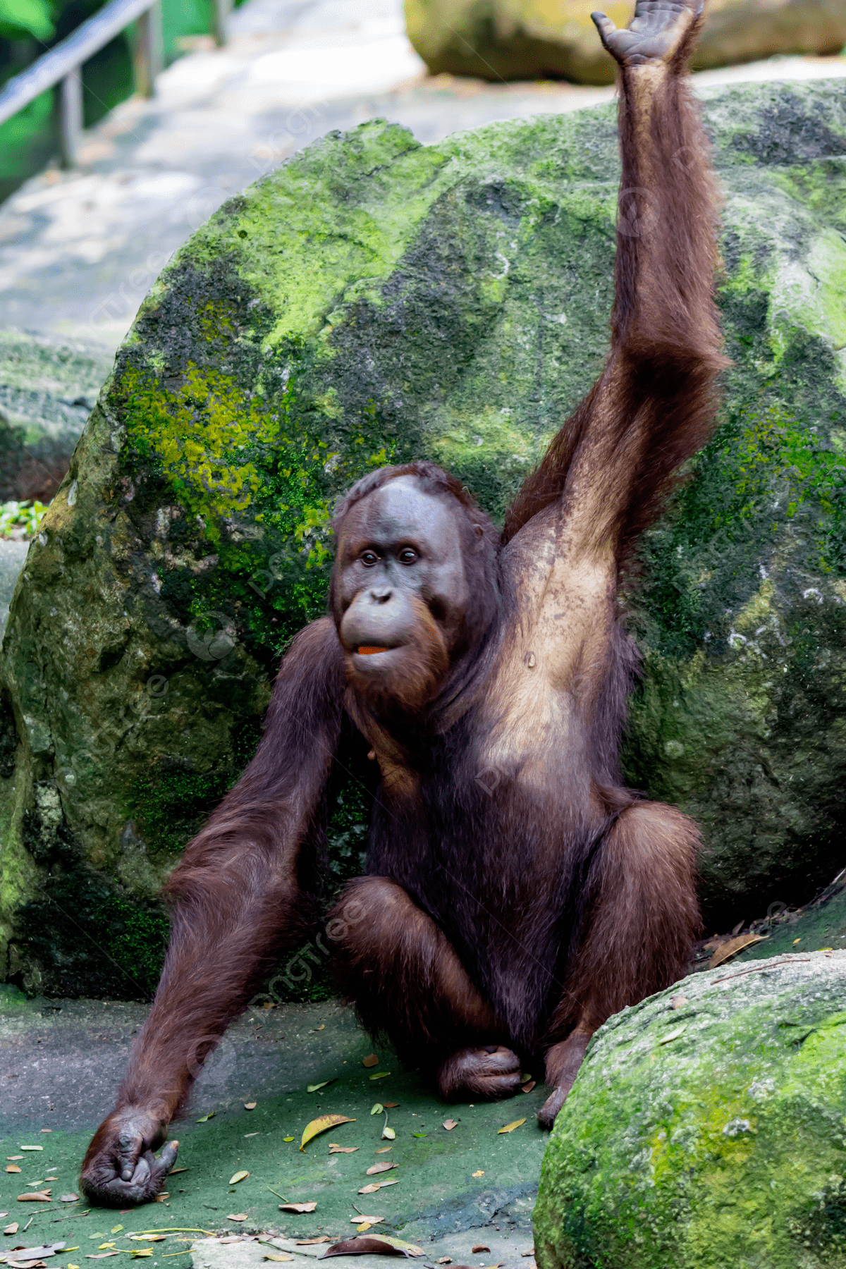 الاتصال والجهاز العصبي by salma jaber - Ourboox.com